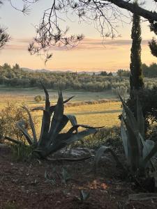 Mas des Alpilles au cœur de la nature avec piscine