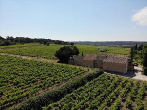 Maison de vacances Mas des Coudoulières avec piscine à usage exclusif 2631 Chemin des Cerisiers 30150 Roquemaure Languedoc-Roussillon