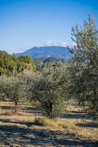 Mas Provencal climatisé avec vue sur le Mont Ventoux