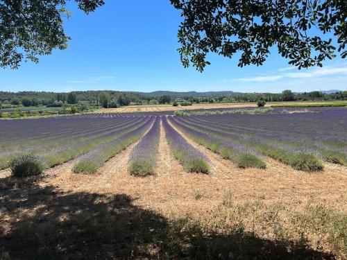 Mas provençal - Terre de l'Ubac 10-12 pers.