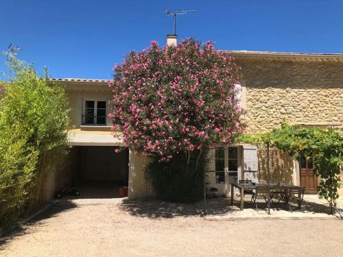 Mas provençal - Terre de l'Ubac 10-12 pers.