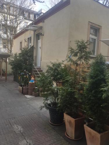Max's Hinterhaus