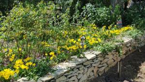 Mazet authentique à Nîmes sur 2500 m2 dans un écrin de verdure