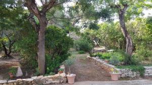 Mazet authentique à Nîmes sur 2500 m2 dans un écrin de verdure