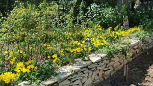 Maison de vacances Mazet authentique à Nîmes sur 2500 m2 dans un écrin de verdure Chemin du Carreau de Lanes 30900 Nîmes Languedoc-Roussillon