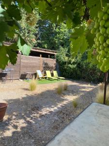 Mazet provençal
