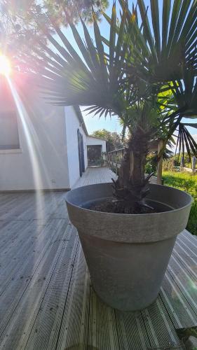 Mini-villa Casa Doria