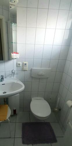 Miniferienhaus Bad Elster