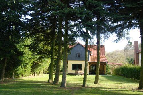 Mirow-Lärz- Ruhe Pur- Wald&See - Haus mit Grundstück&Wald