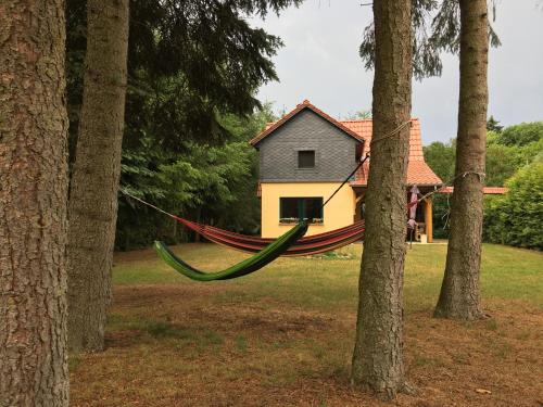 Mirow-Lärz- Ruhe Pur- Wald&See - Haus mit Grundstück&Wald