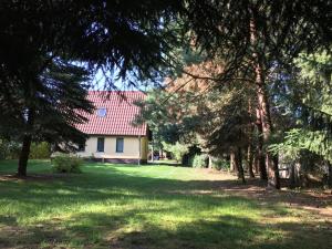 Mirow-Lärz- Ruhe Pur- Wald&See - Haus mit Grundstück&Wald