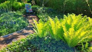Mitten im Seenland und Spreewaldnah, schöner Garten