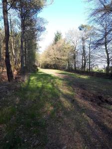 Mobil home au coeur de Brocéliande