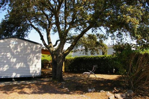 Mobil-Home OuiReves 529 face à la Méditerranée