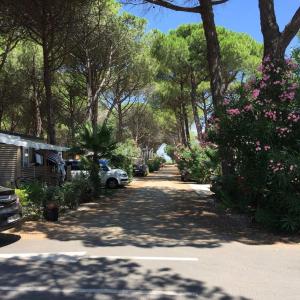 Mobil-Home OuiReves 74 face à la Méditerranée