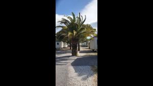 Mobile home 64760 TyBreizh Holidays at Mar Estang 4 star