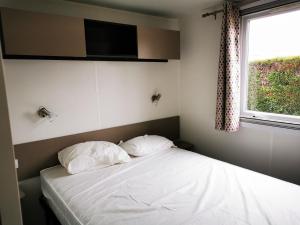 Mobile home 64767 TyBreizh Holidays at Les Charmettes 4 star without fun pass