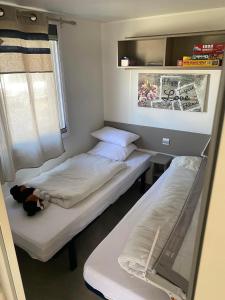 Mobile home 79139 TyBreizh Holidays at Domaine de Litteau 4 without fun pass