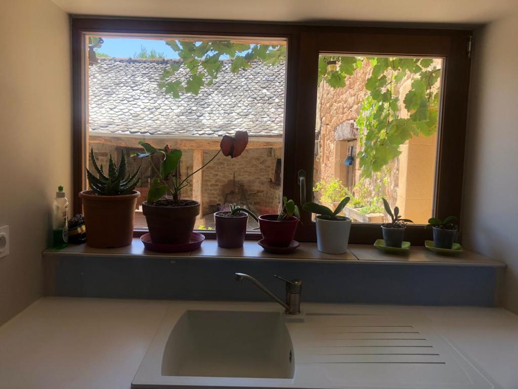 Modern and cosy ecolodge, shared heated pool, Les Mathes