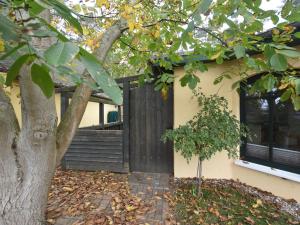 Modern Bungalow in Tessmannsdorf on Coastal Forest