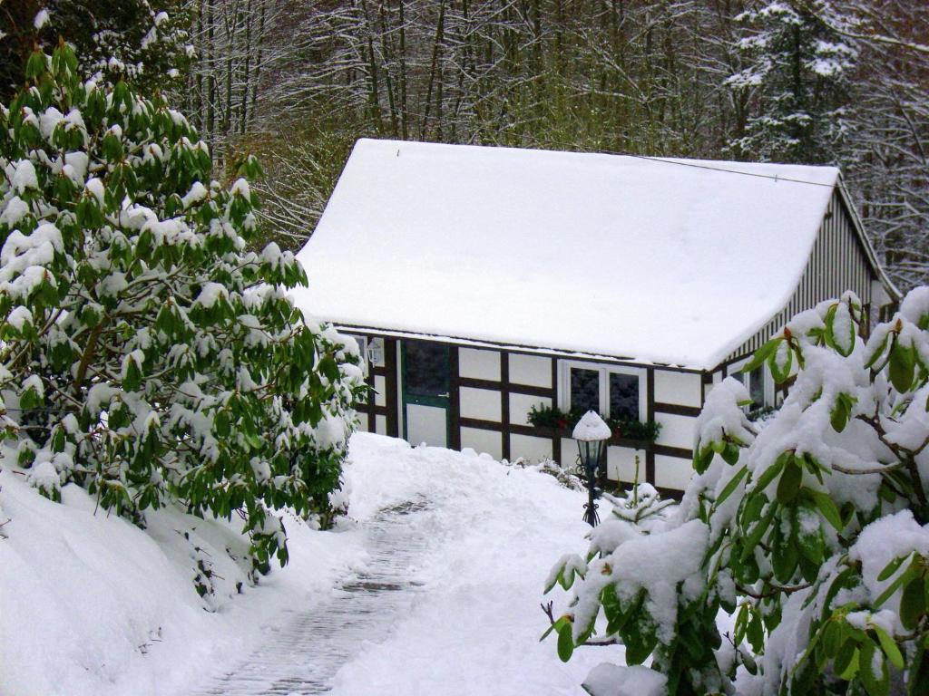 Modern Holiday home in Oberkirchen with Garden , 57392 Schmallenberg