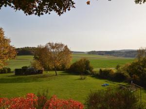 Modern Holiday Home near Forest in Kleinich