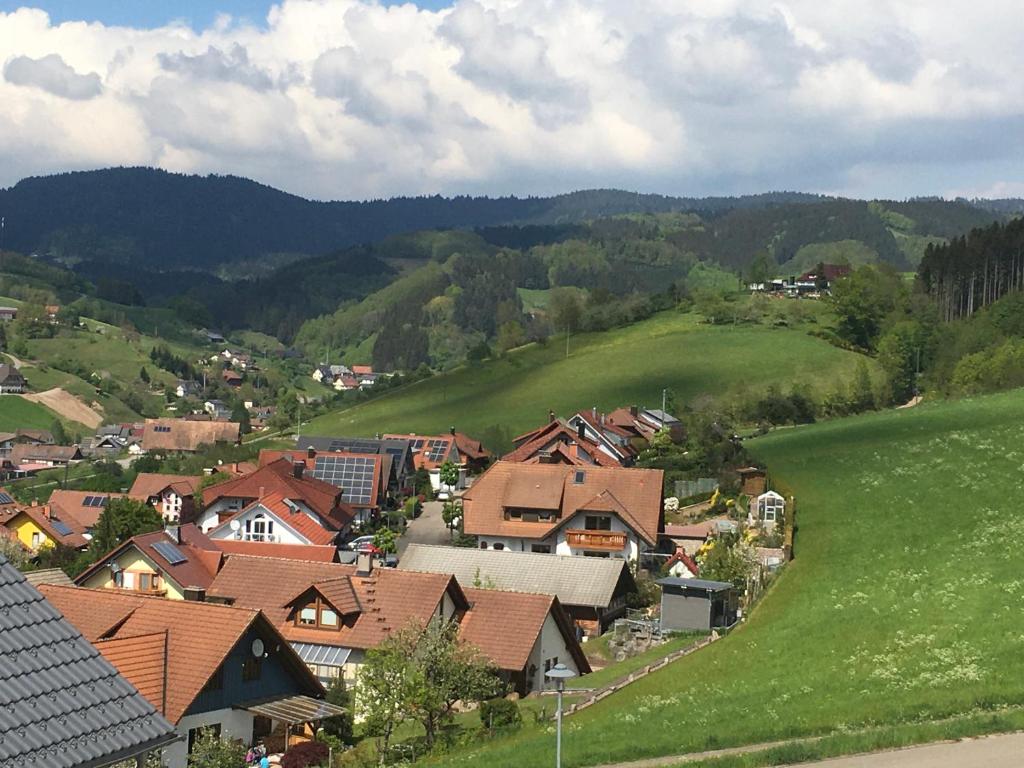 Maison de vacances Modernes Ferienhaus Toplage erbaut 2019 3 Heinrichshofweg 77784 Oberharmersbach