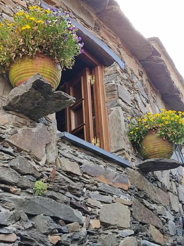Montanhas do Xisto - Casa do Portal