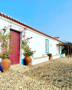 Maison de vacances Monte Capitão Country house Caminho estrada da edia - Nossa Senhora das Neves 7800-651 Salvada Alentejo