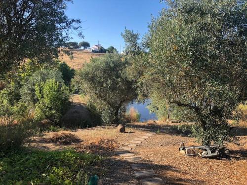 Monte Courela: piscina, natureza e paz no Alentejo