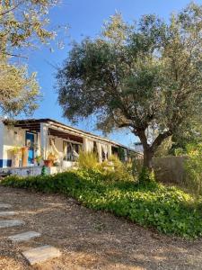 Maison de vacances Monte Courela: piscina, natureza e paz no Alentejo Monte da Courela da Fraga, cx postal 724 7490-406 Malarranha Alentejo