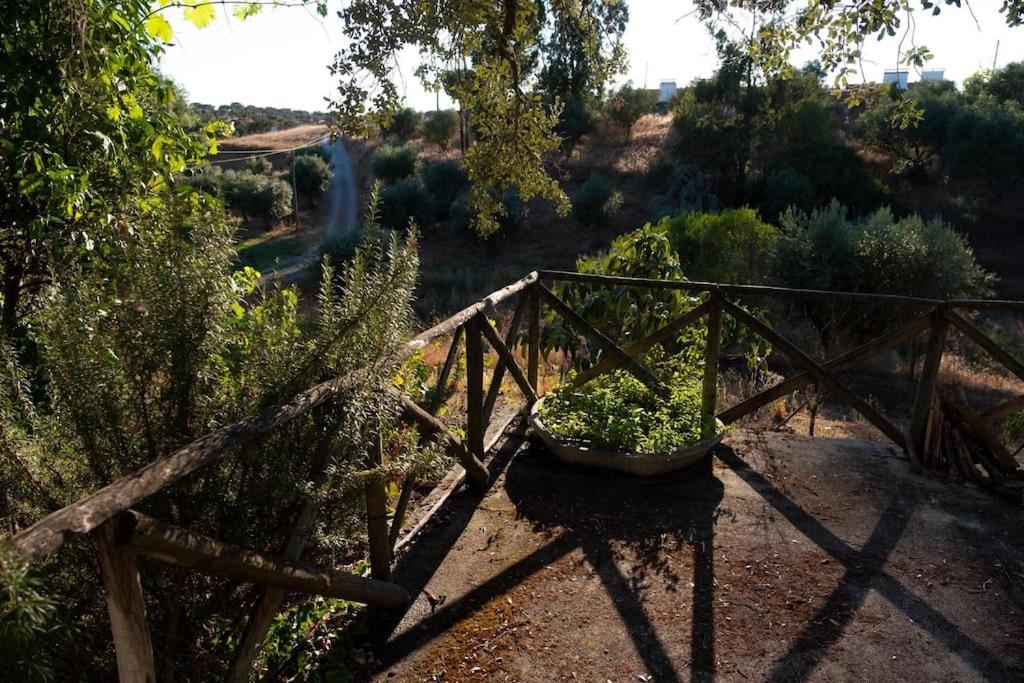 Maison de vacances Monte Courela: piscina, natureza e paz no Alentejo Monte da Courela da Fraga, cx postal 724 7490-406 Malarranha