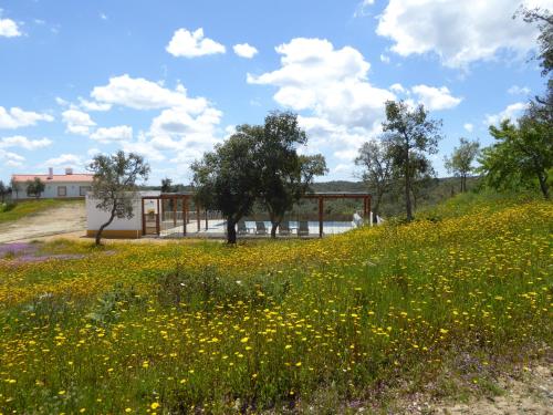 Monte da Ameira