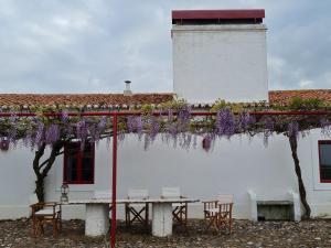 Monte do Arneiro