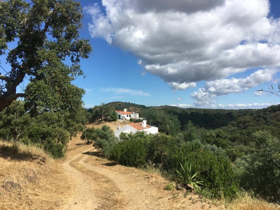 Monte São Francisco Alto Courela das Oliveiras, apt.7, 7540-504 São Francisco da Serra