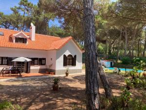 Moradia no Pinhal com Piscina - Espaço e Privacidade para as suas Férias!