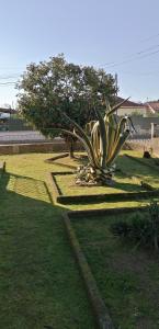 Moradia santa comba