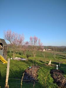 Moulin de la Ville Chamblon en Pleine nature parmi les chevaux proche château thierry