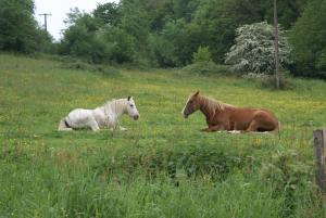 Moulin des sablons vakantiehuis gite