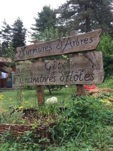 Murmures d'Arbres