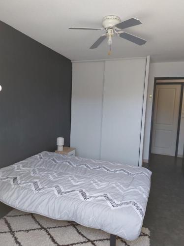 Narbonne plage, maison avec piscine privative