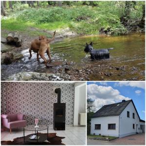 Maison de vacances Nationalpark Ferienhaus SOPHIA-LUISA 54422 Dorfstraße 11 54422 Börfink Rhénanie-Palatinat