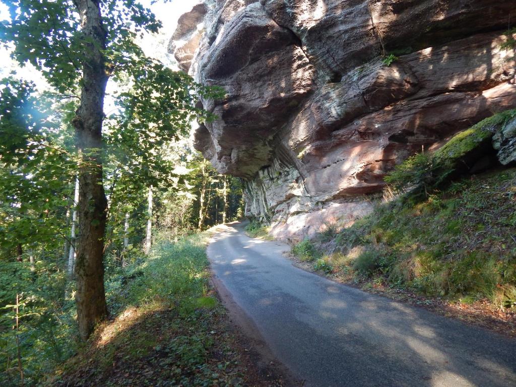 Nature et vue