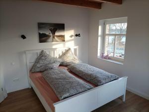 NEU Modernes Ferienhaus im Hochmoor