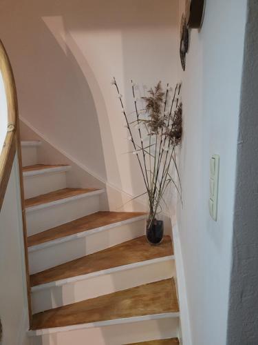 Neues Schwalbennest 26 Haus