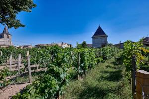 New: Luxurious Wine Estate Saint-Emilion Grand Cru with private swimming pool