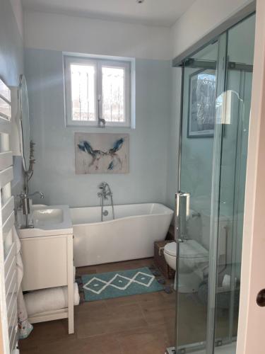 Newly renovated house with pool