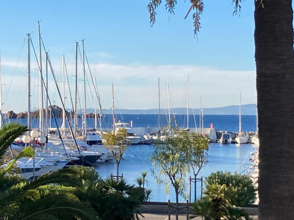 Nice 120 M Cosy With Garden Terrace And Paillote