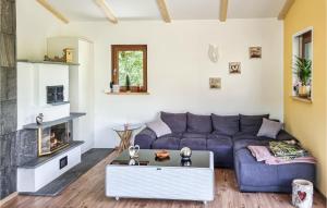 Nice home in Falkenstein with Sauna, WiFi and 2 Bedrooms