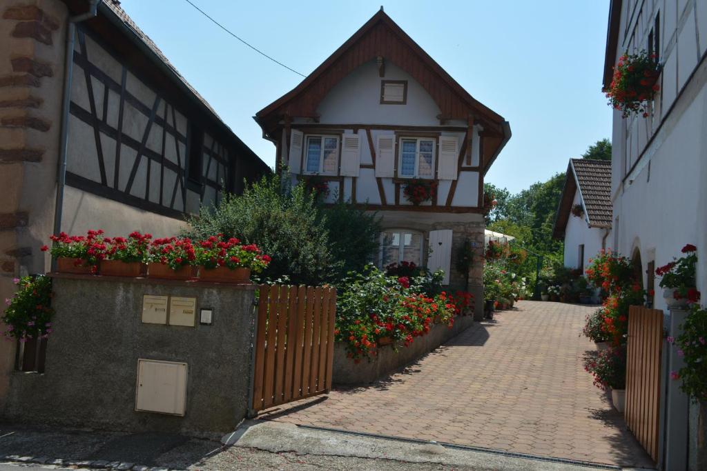 Nice home in Saint Hilaire de Riez with 1 Bedrooms and WiFi 85270 Saint-Hilaire-de-Riez